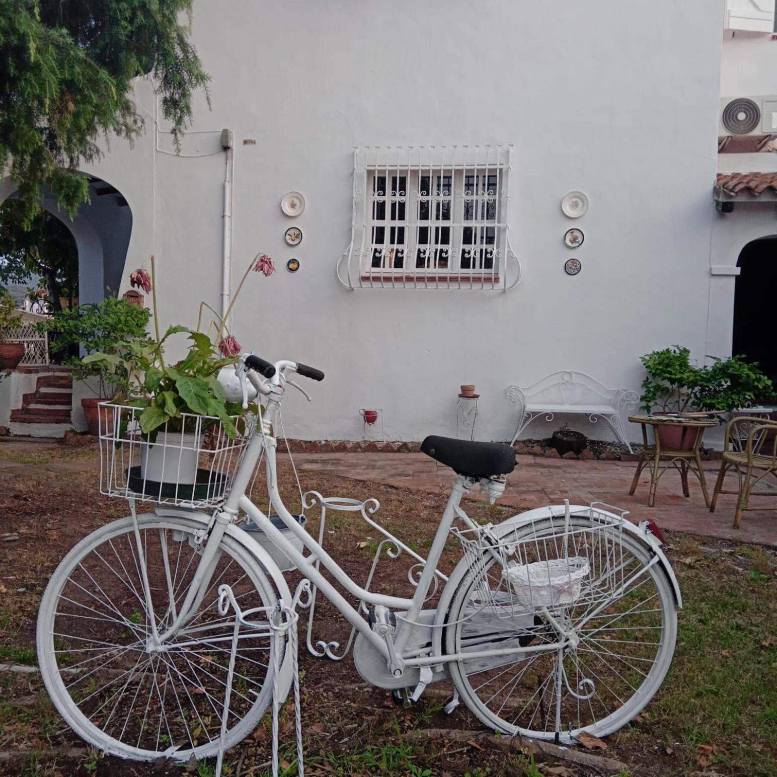 Da Tea Bed & Breakfast San Teodoro  Dış mekan fotoğraf